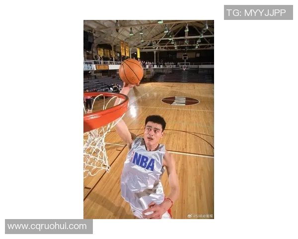 姚明在赛场上的帅气瞬间回顾与精彩瞬间的完美结合