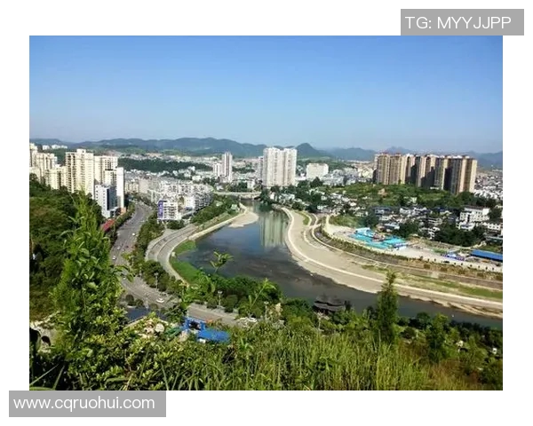 大宫松鼠与熊深红的奇幻对决谁能胜出森林之战