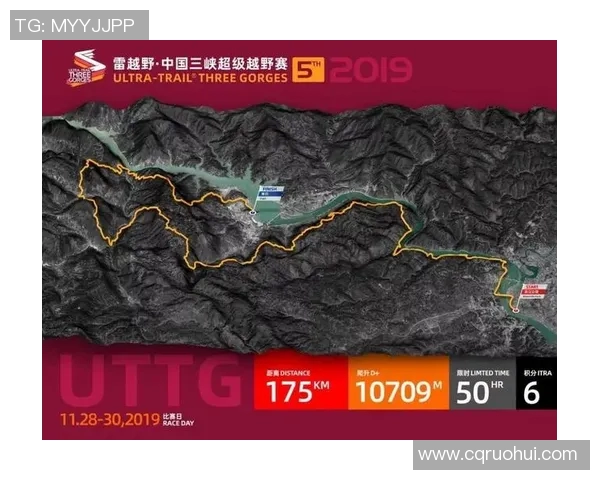 罗平篮球明星的成长之路与辉煌成就全景回顾